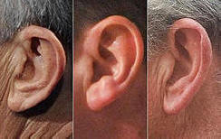 10 zanimljivih činjenica o ušima
