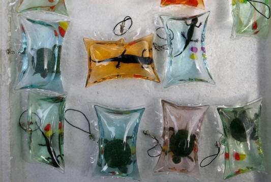 wierdchina08 10 izvanrednih stvari koje možete kupiti u Kini