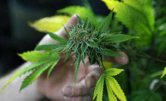 5 najčudnijih vijesti u sedmici