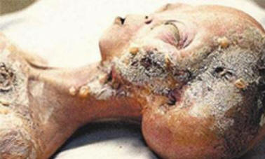 8 nejasnih pojava, neobjašnjivih kao i incident u blizini Roswella