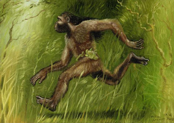 Agogwe: Tajna afričkih drhtavih patuljaka