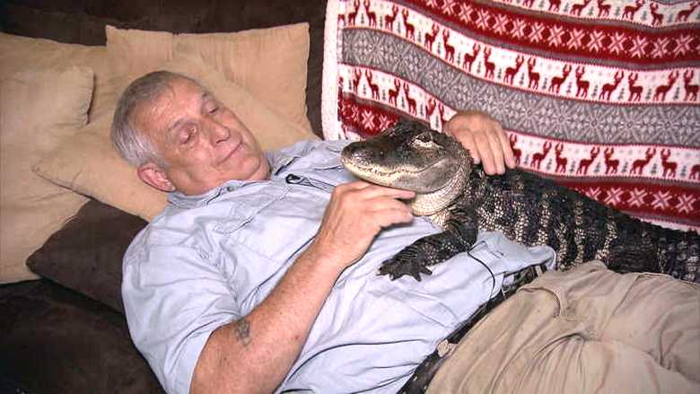 Aligator - kao lijek za depresiju