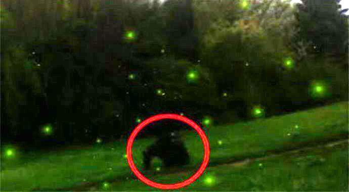 Amerikanci fotografirali yetija kako jure krijesnice