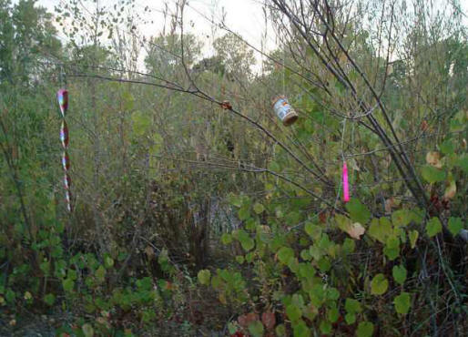 Amerika se bori yeti za teritoriju