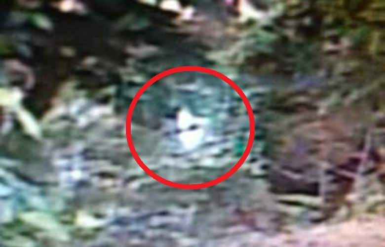 Amerikanac tvrdi da je slikao vanzemaljca