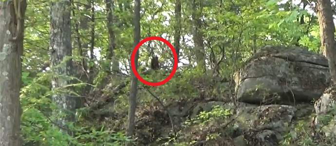 Amerikanac tvrdi da je u spotu snimio nekoliko snjegovića