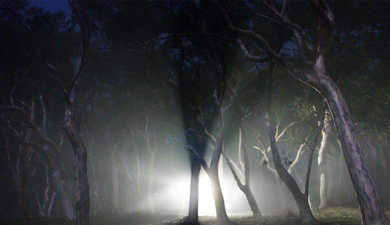 Amerikanac je snimio misteriozno svjetlo u šumi i na njegovim vratima otisnuo šape stranaca