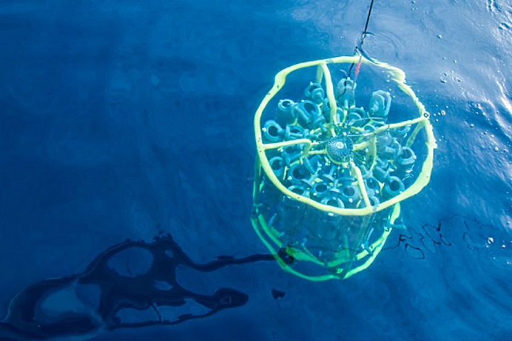 Američka vojska ponovo eksperimentira sa bakterijama