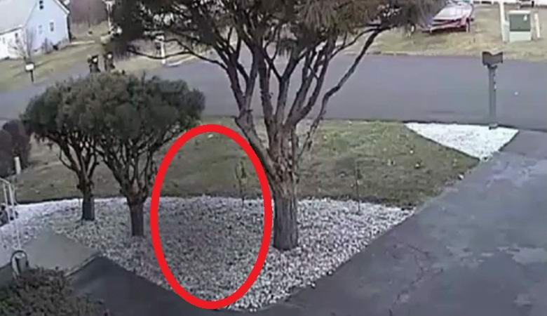 Američki novinari pokazali duha