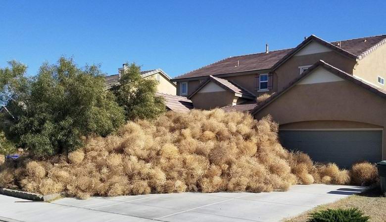 Američki grad masovno