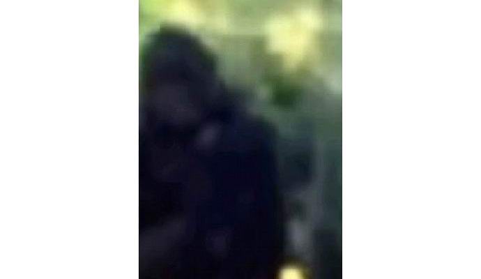 Američki policajac fotografirao yeti