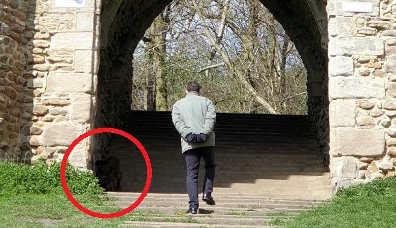 Engleskinja je u parku uhvatila nerazumljivo stvorenje