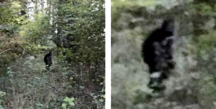 Engleski palac udario u objektiv fotoaparata