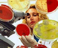 Antibiotici usporavaju proces starenja