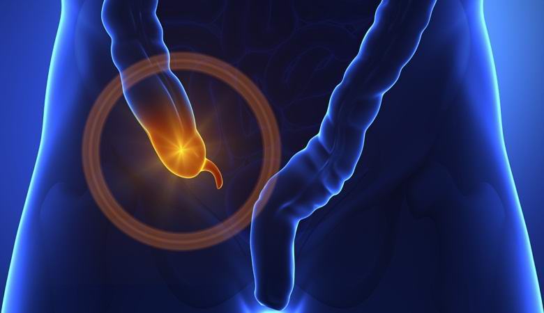 Dodatak se pokazao kao vitalni organ