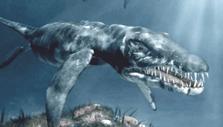 Argentinski Plesiosaurus našao se u videu ribara