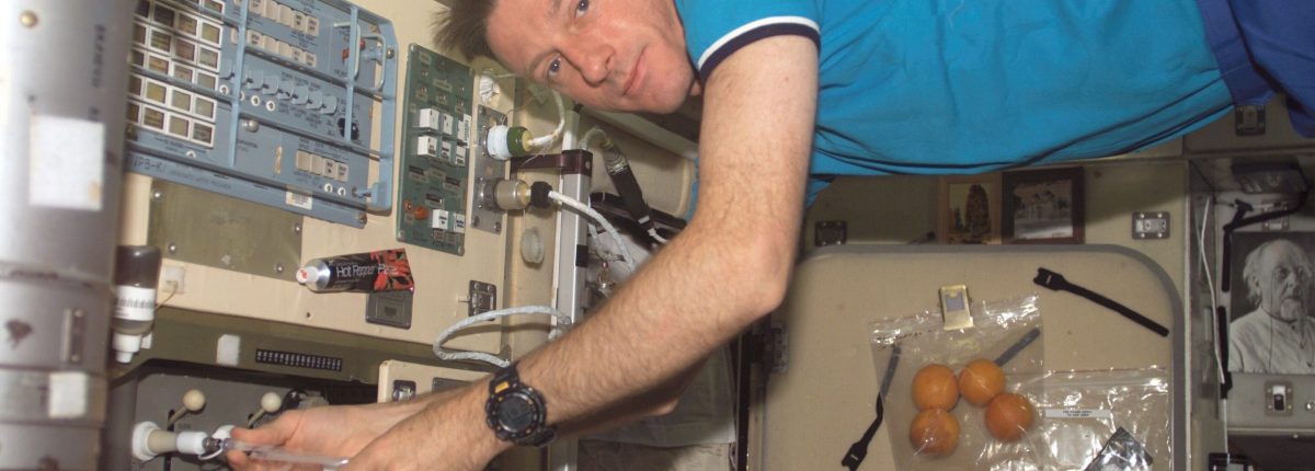 Bakterije na Međunarodnoj svemirskoj stanici nisu ništa opasnije od sojeva tla 