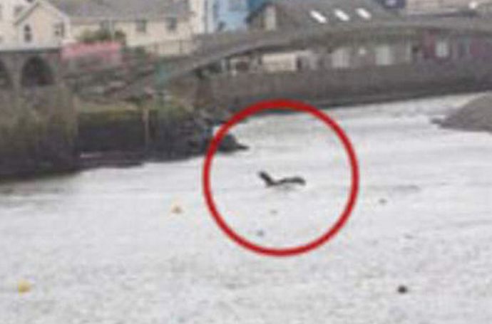 Barmouth čudovište može postati konkurent monstrumu Loch Ness