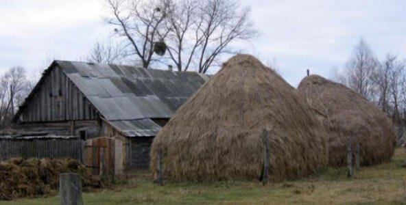 Bliski kontakt sa strancem u Pinskoj regiji