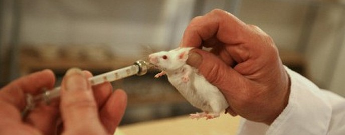 Bol može biti blokiran svetlošću.