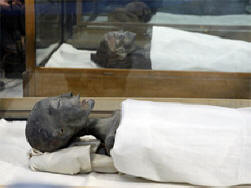 Britanski naučnici: Tutankhamun je poginuo u nesreći