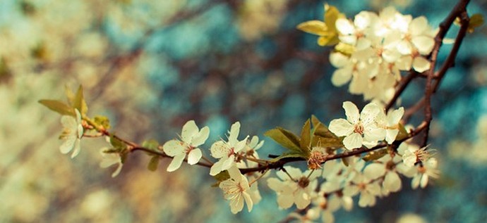 Šta žene žele 8. marta ... a muškarci?