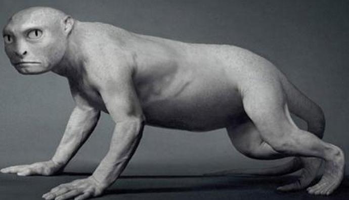 Da li je čovek pao sa štakora?