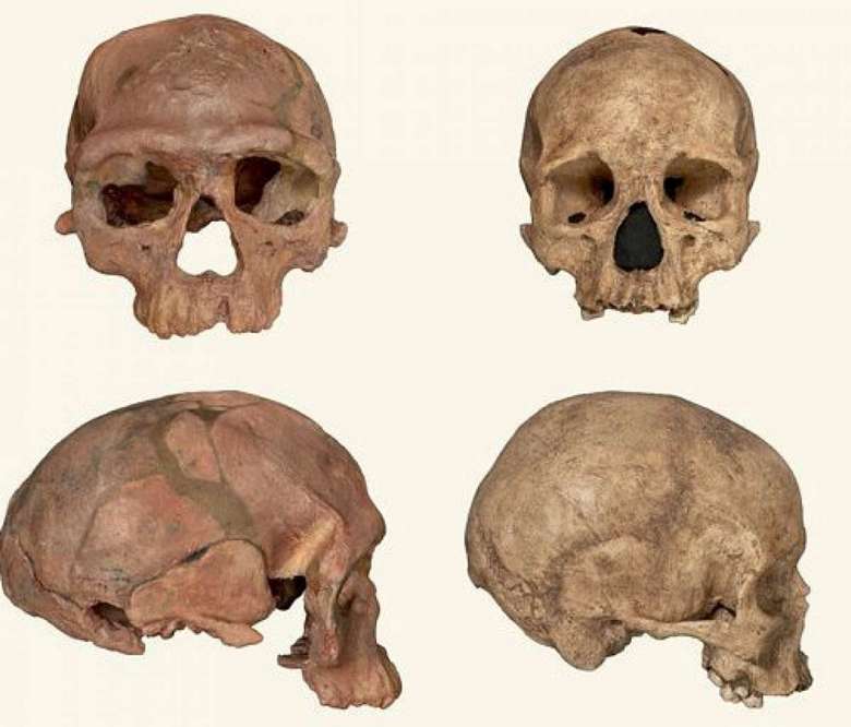 Homo sapiens stari su sto hiljada godina