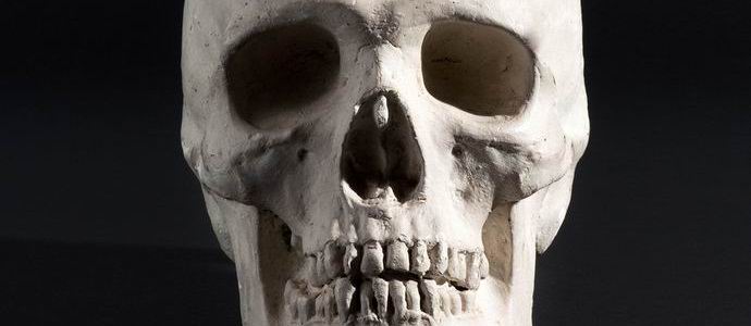 Lobanja je prvi put presađena čovjeku