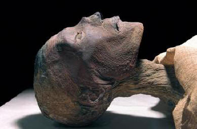 Što je naškodilo našim drevnim precima