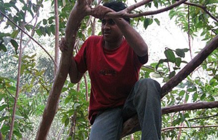 Četveronožno stablo muža i žene