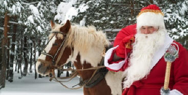 Šta nam priprema godina konja