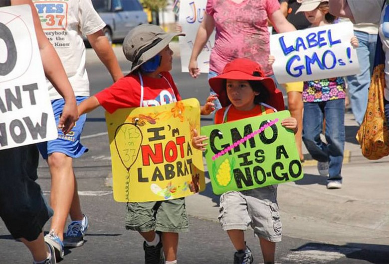 Što trebate znati o GMO-u i ljudima koji se protive genetski modificiranoj hrani