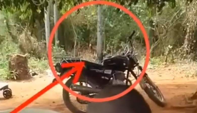 Monster pogodio video u Paragvaju