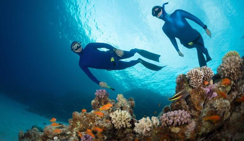 Ronioci se žale zastrašujuće zvukove koji dolaze iz dubina Crvenog mora.