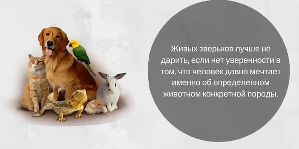 šta pokloniti za rođendan 