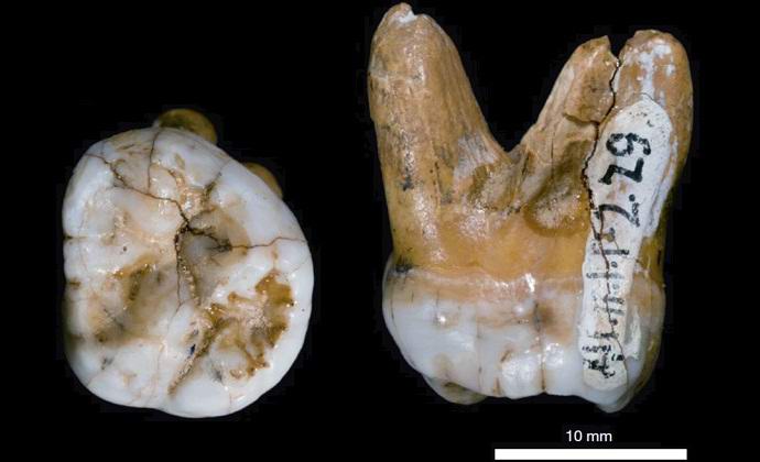 Ispostavilo se da je Denisovski muškarac potpuno novi izgled