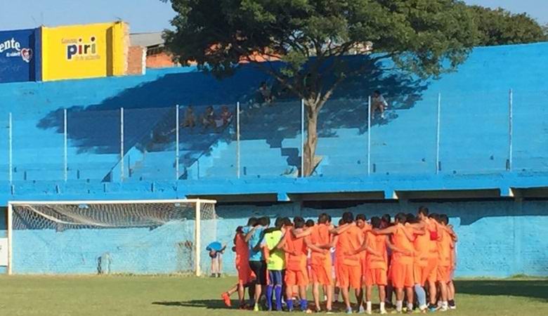 Drvo koje raste sa tribina fudbalskog stadiona najveći je navijač domaćeg tima