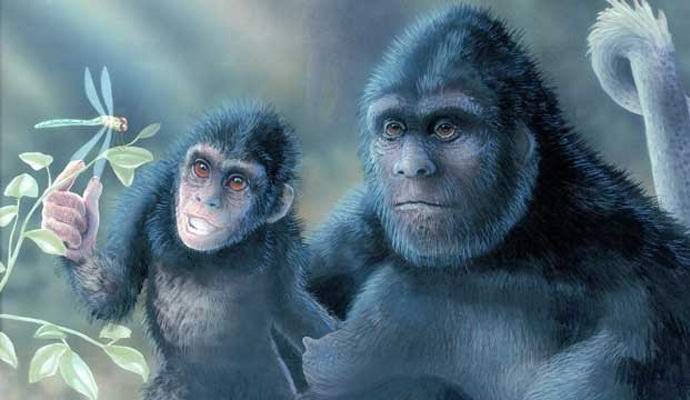 Bebe s velikom nogom na snimku