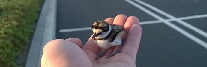 Ljubaznost spašava svijet