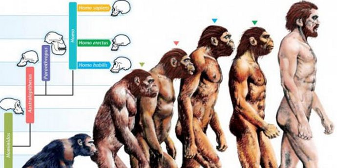 Prapovijesni čovjek u modnim sandalama