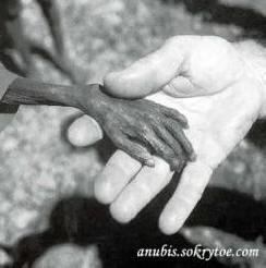 Pouzdani kontakti s vanzemaljcima