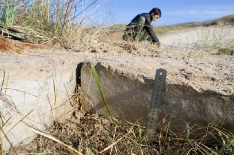 Nisu mogli spasiti drevni put star 38 godina