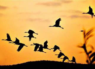 Stručnjaci upozoravaju: