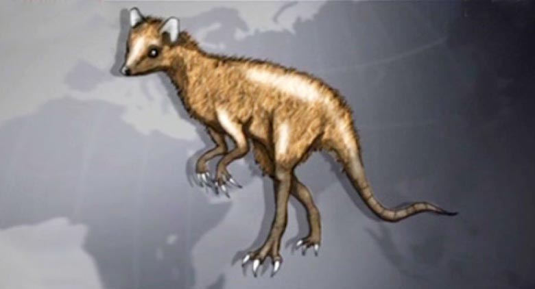 Još jedan pogled na to što je tajanstvena chupacabra