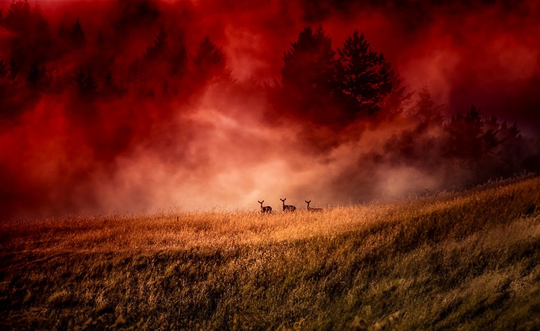 Još jedan zanimljiv prirodni fenomen je crvena magla.