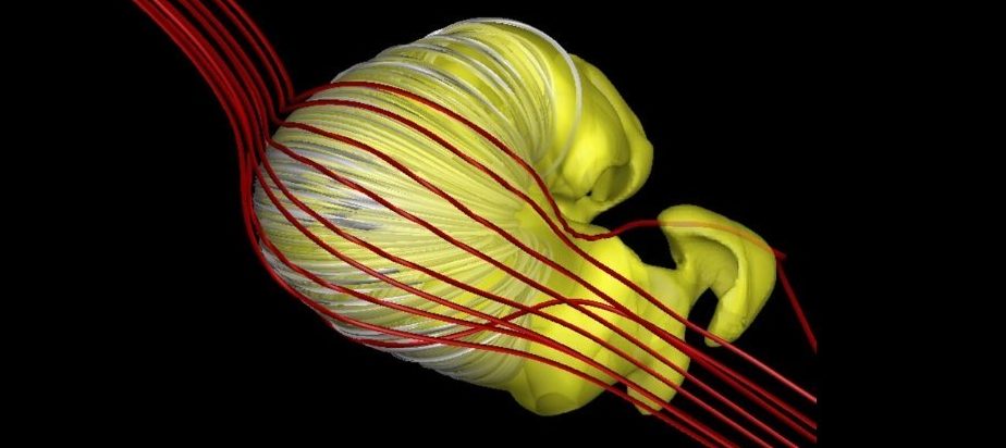 Ovaj čudan oblik zapravo bi mogao biti kako izgleda magnetni mjehur našeg Sunca. 