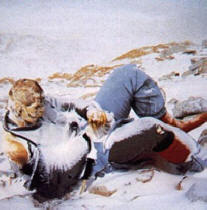 Everest je bukvalno isprekidan leševima poginulih penjača