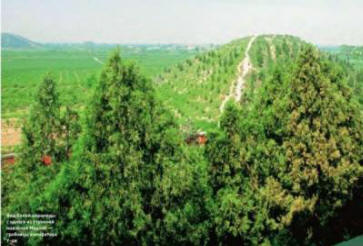 Lažne i istinske zagonetke Kine