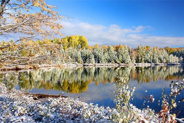 potpisuje 11. novembra 